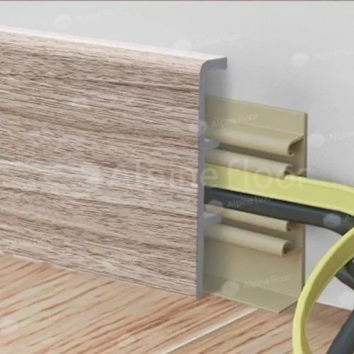 RC 80104 Кипарис Альпийский