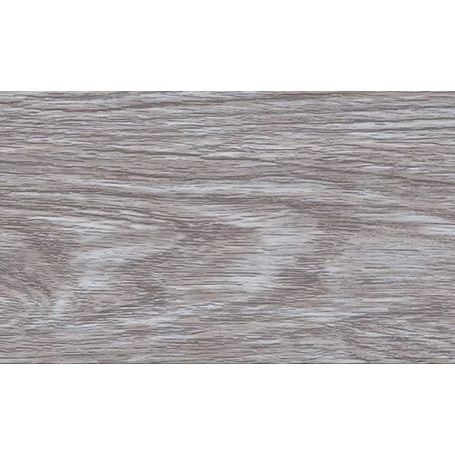 215 Дуб снежный