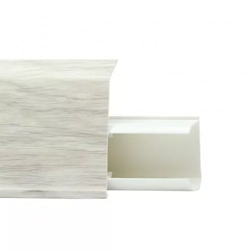 505 Дуб Ковентри