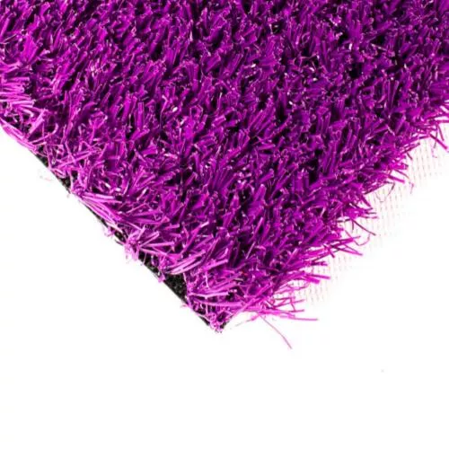 Pgn-17 True 20 Violet