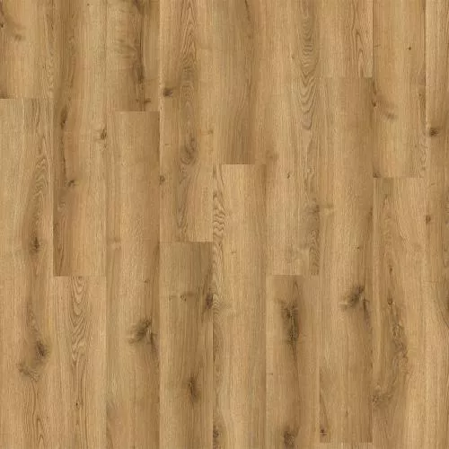 03826 Traditional Oak