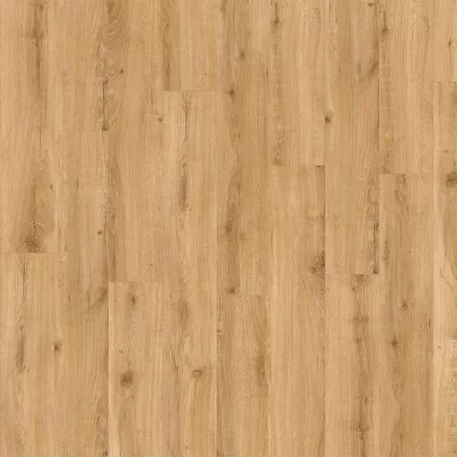 04270 European Oak