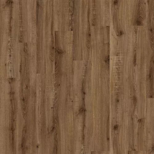 04870 European Oak