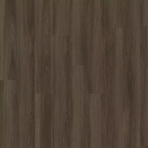 03884 Riviera Oak