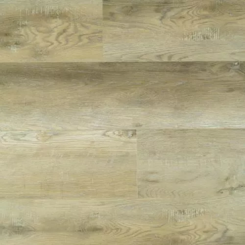 104-25 Виктория