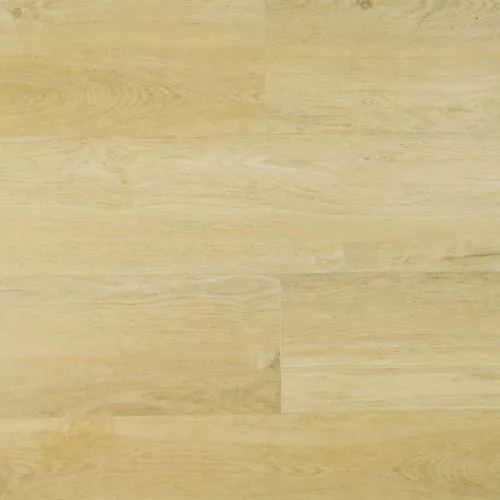 777-14 Шампань