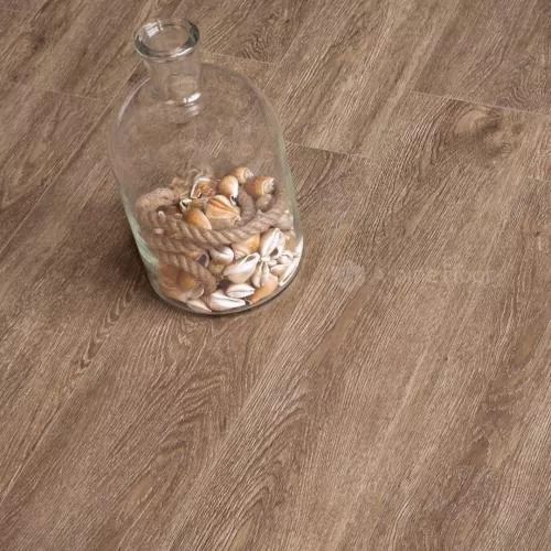 ECO 11-11 Маслина