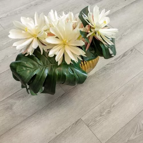 ECO 11-14 Каунда