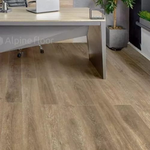 ECO 11-19 Вайпуа