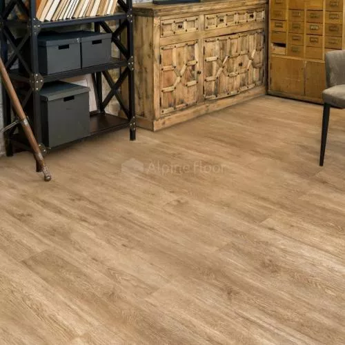 ECO 11-5 Камфора