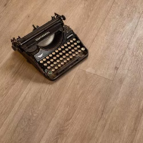 ECO 11-9 Карите