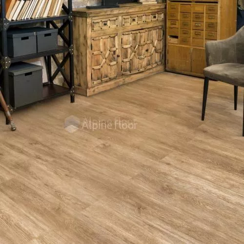 ECO 11-501 Камфора