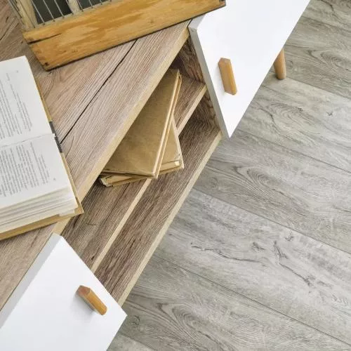 ECO 9-10 Шервудский лес