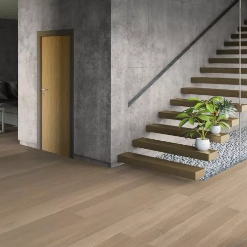 ECO 14-7 Комодо