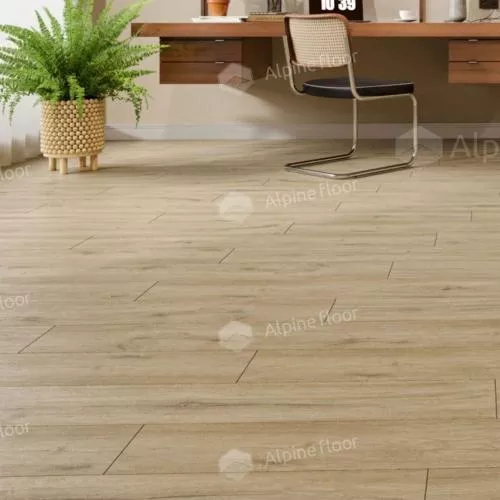 ЕСО 14-1001 Анданте