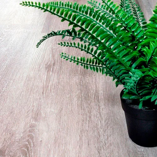 ECO 134-5 Ясень серый