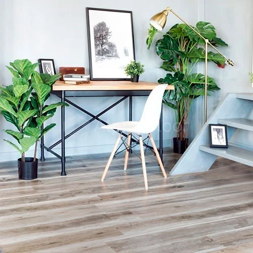 ECO 3-18 Дуб лесной