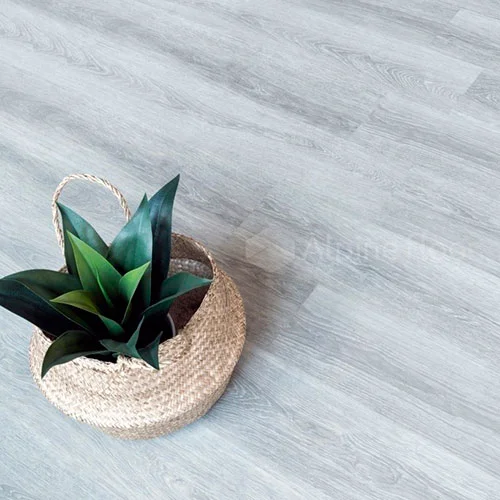 ECO 3-26 Дуб туманный