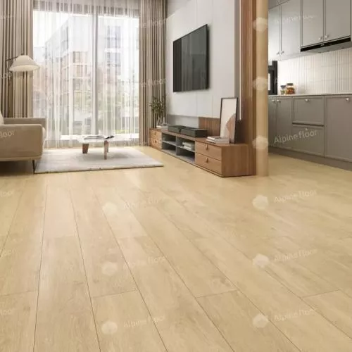 ECO 3-31 Камфора