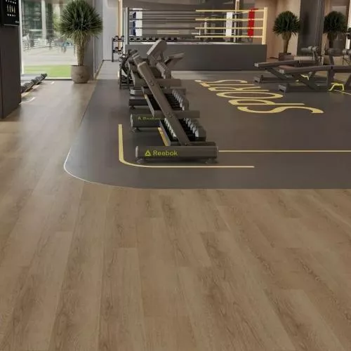 ЕСО 3-42 Дуб Фридрих