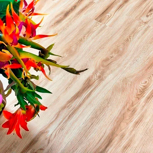 ECO 2-8 Клен Канадский