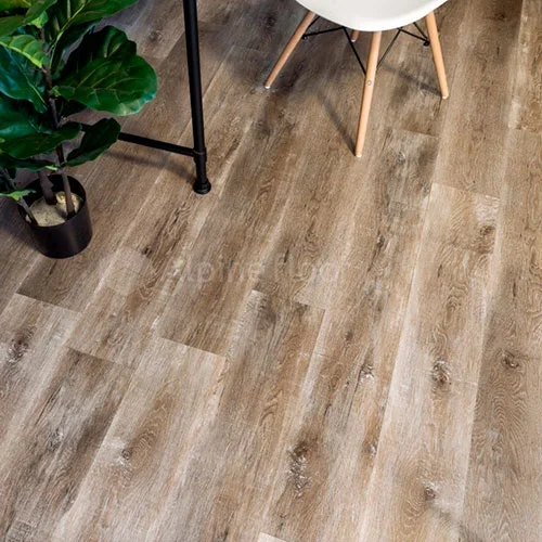 ECO 5-17 Дуб медовый