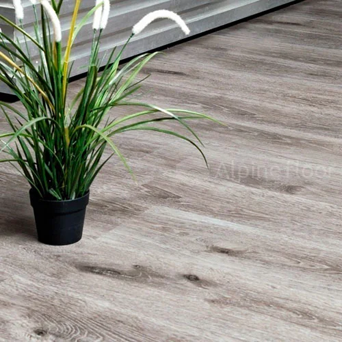 ECO 5-24 Дуб дымчатый