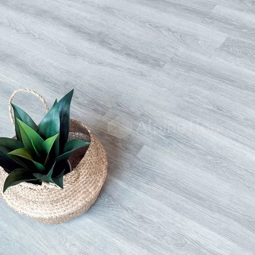 ECO 5-26 Дуб туманный