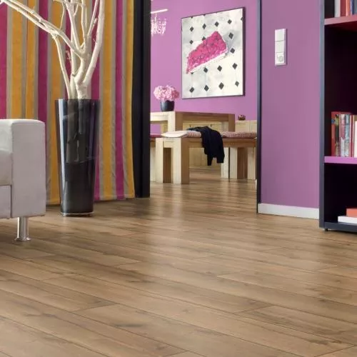 D50737 Дуб Дженнаро