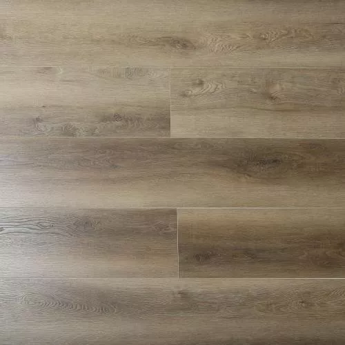 4162 Монтеверди