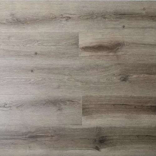 4163 Аристотель