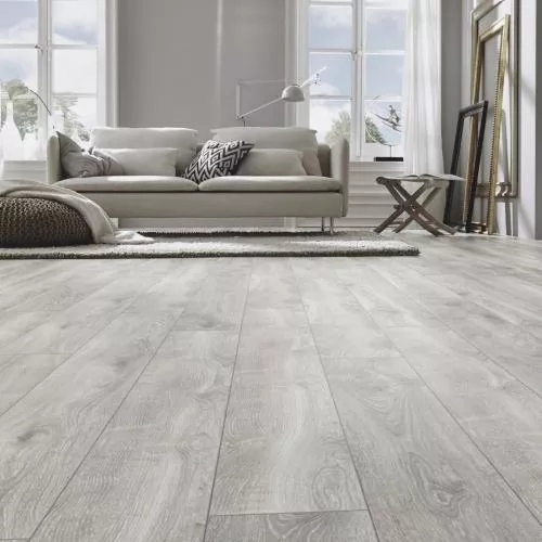 G1903 Дуб Галифакс