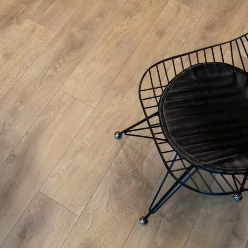 G1907 Дуб Столанд