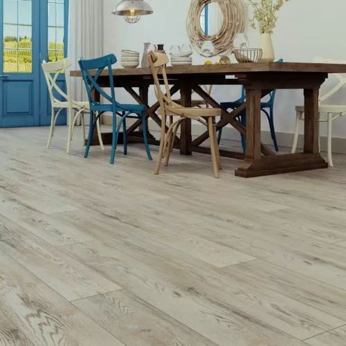 G1908 Дуб Калгари