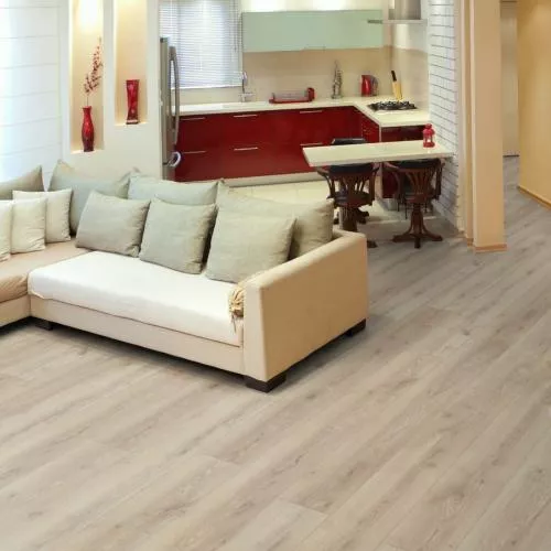 J1926 Дуб Блэкпул