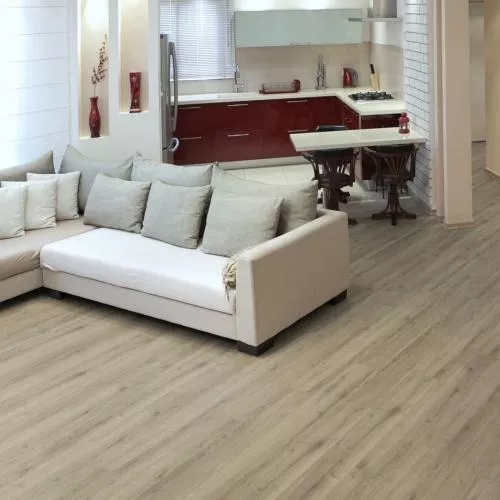 J1928 Дуб Плимут