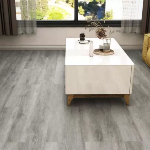 68087 Дуб Канкун