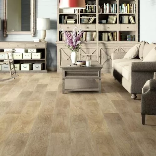 68088 Дуб Варадеро