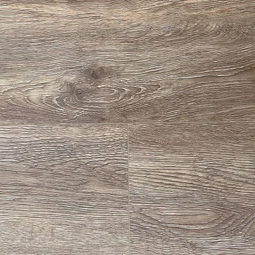60621 Дуб Мадейра