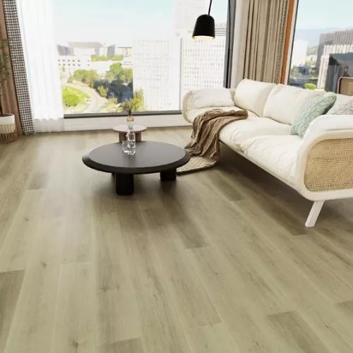  67075 Дуб Норидж