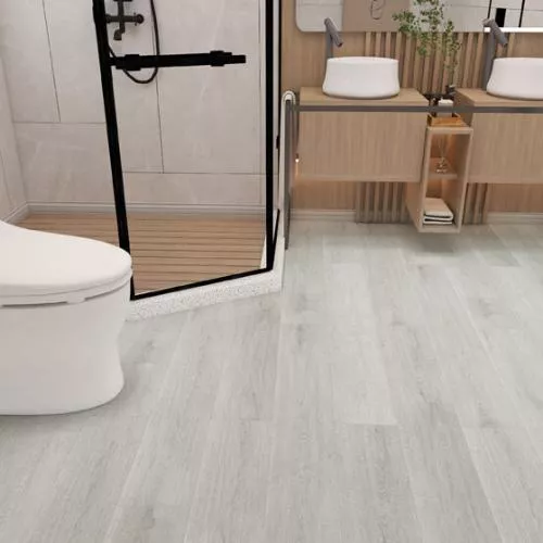 80202 Дуб Пизано