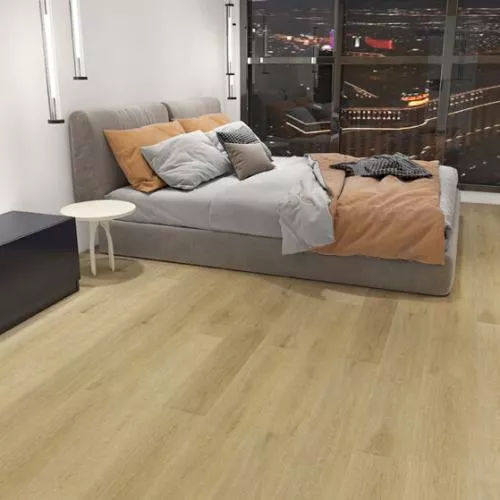 80417 Дуб Канове