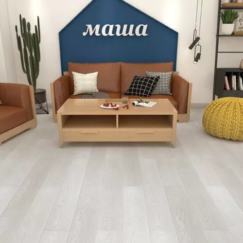 80901 Дуб Браманте