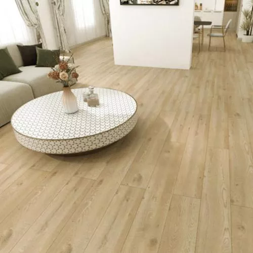 45018 Дуб Торро