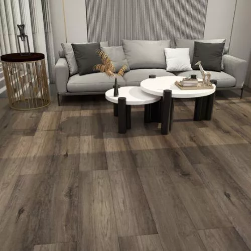 45708 Дуб Семпре