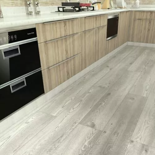 45736 Дуб Тьяго