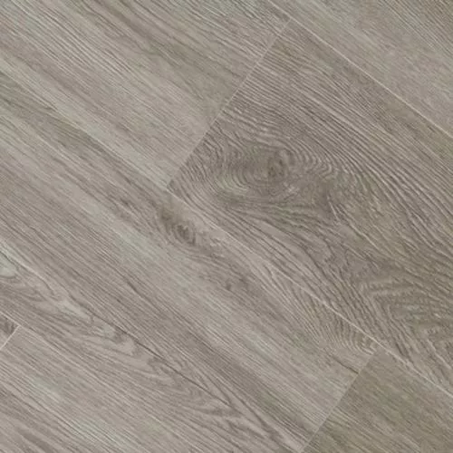 10014 Дуб Вероно