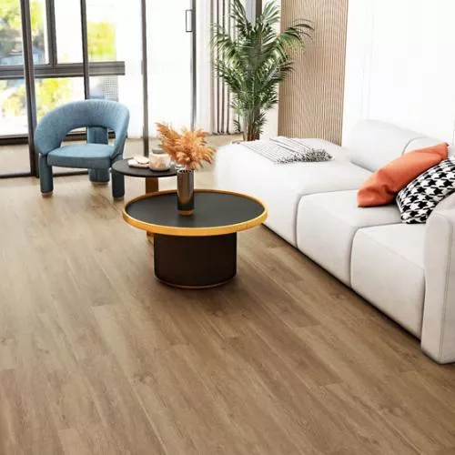 10019 Дуб Фиренце