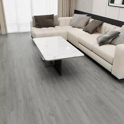 10082 Дуб Эрколано