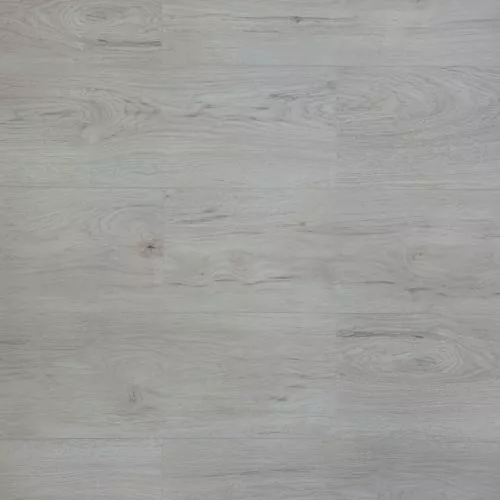 90 ARM Канадский клен Аякс